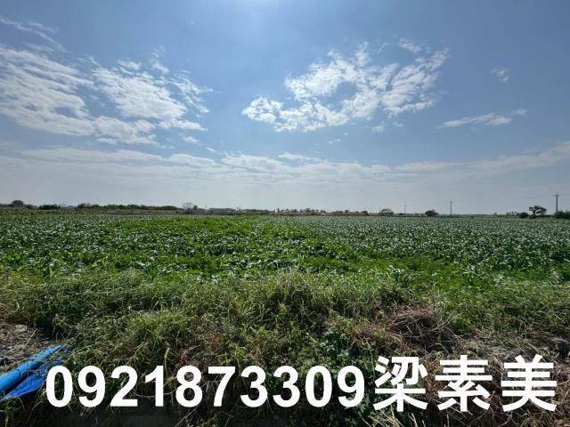 台南七股農地-4