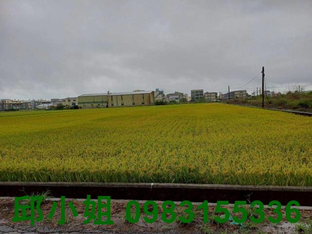 嘉義太保農地-1