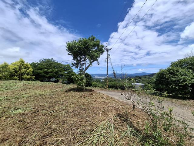 東勢農地-8