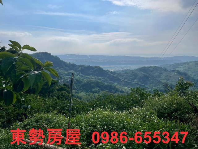 東勢農地-1