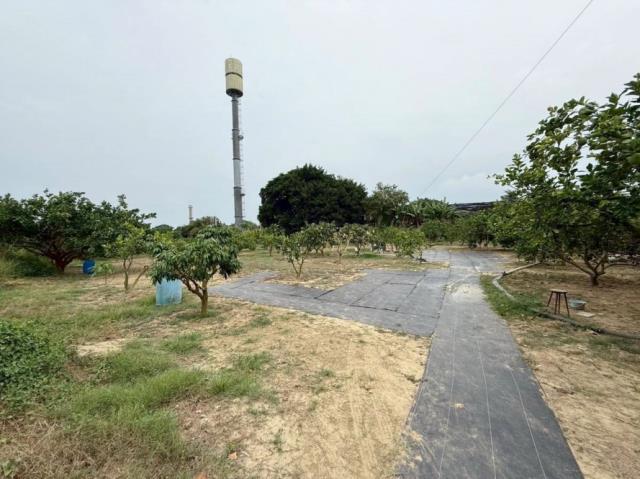善化農地-5