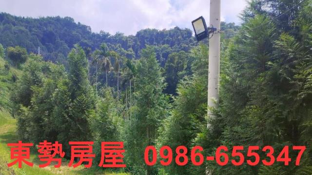 和平農地-9