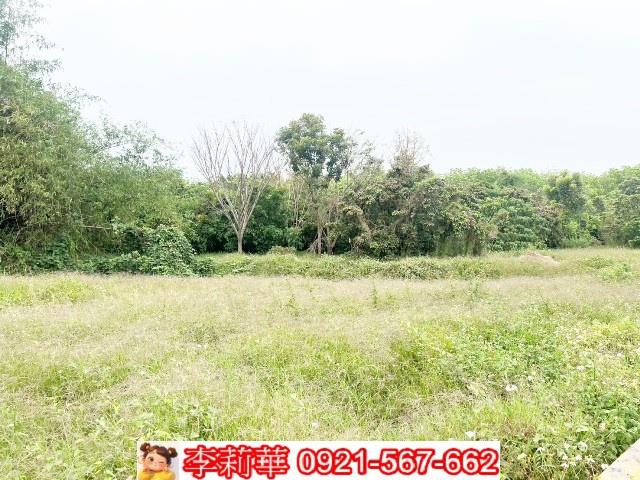 台南歸仁農地-6