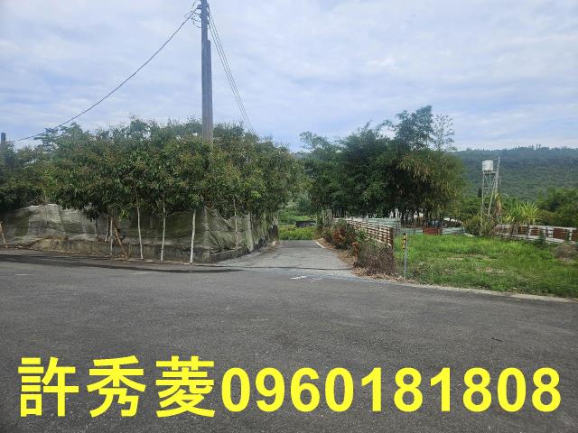 高雄田寮農地-13