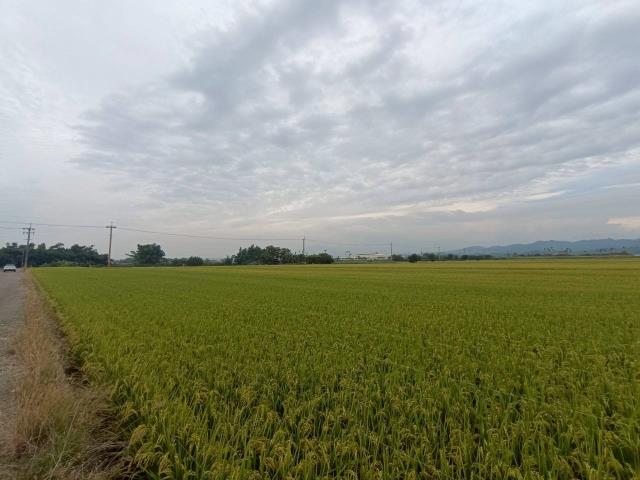 東山農地-3