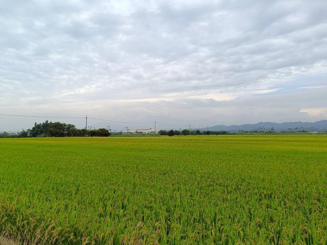 東山農地-4