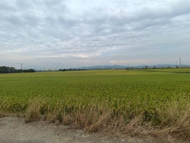 東山農地-5