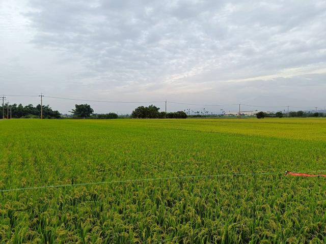 東山農地-8