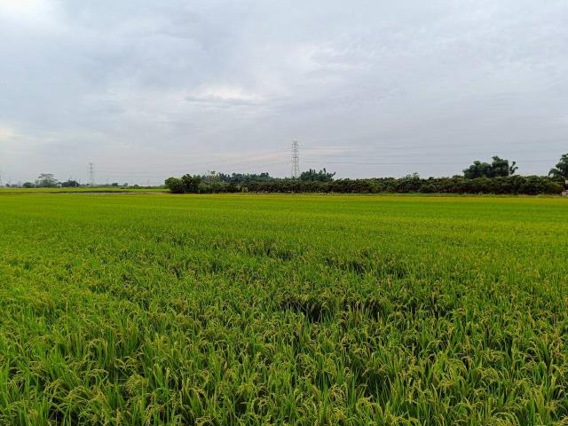 東山農地-13