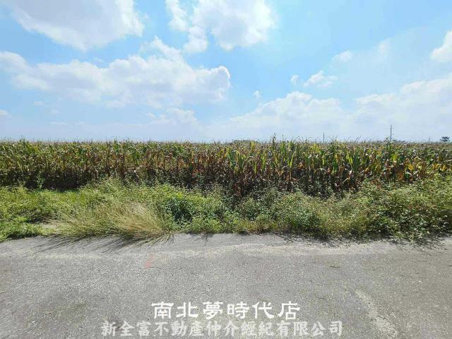 七股農地-4