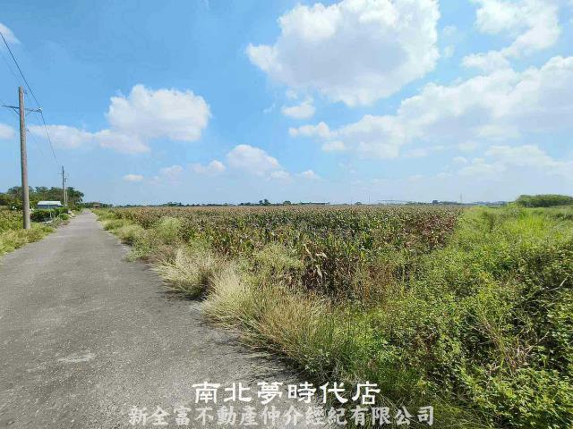 七股農地-7