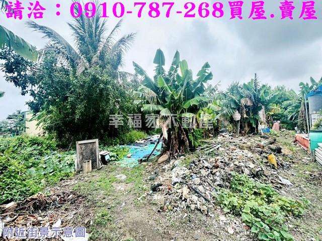 安南農地-4