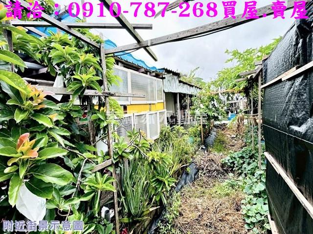 安南農地-5