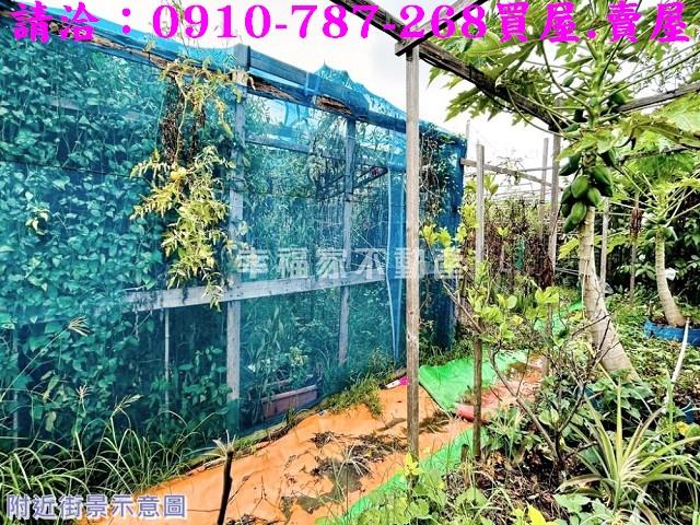 安南農地-8