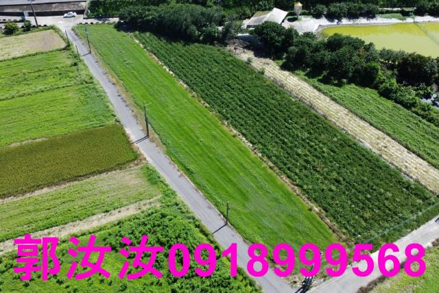 仁德農地-10