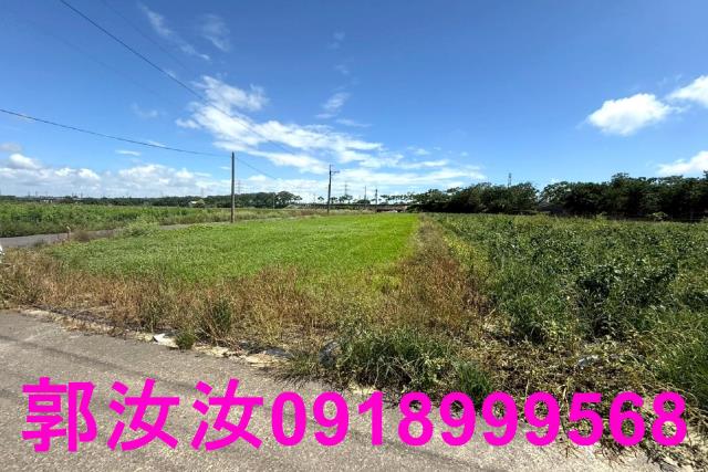 仁德農地-3