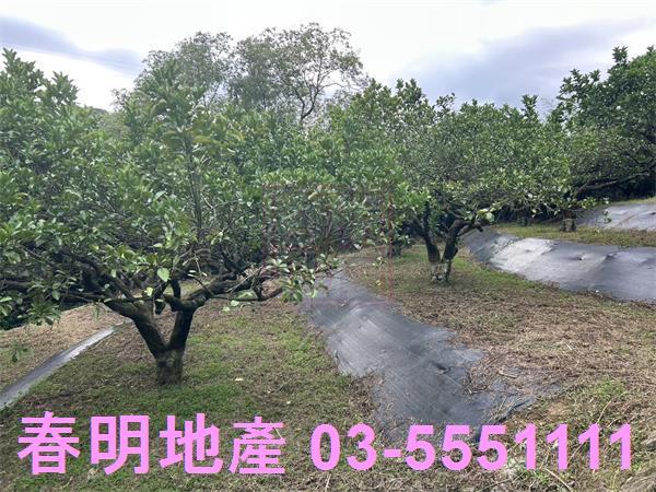 峨眉農地-1