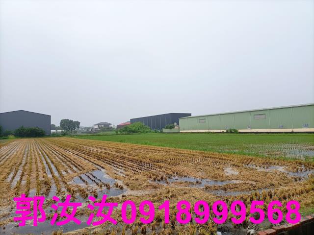 歸仁農地-12