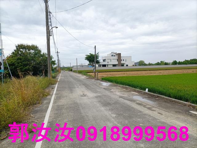 歸仁農地-4