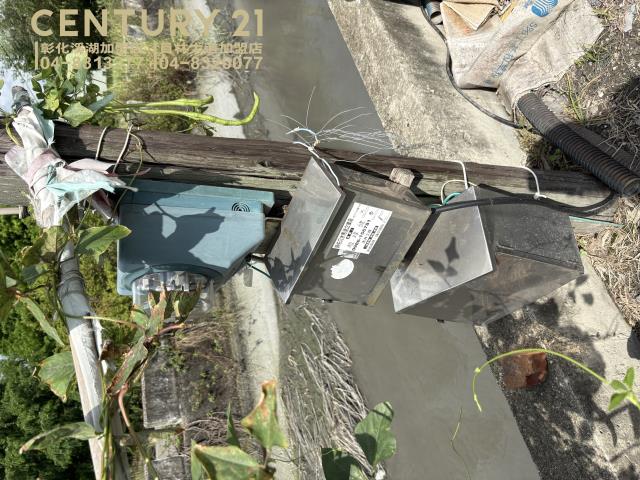 秀水農地-4