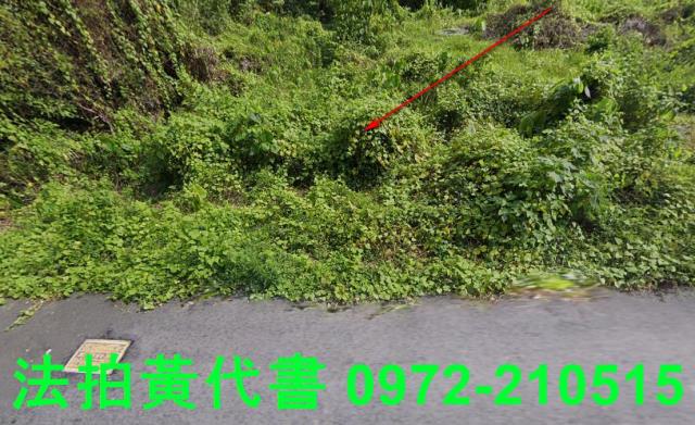 內門建地法拍-1