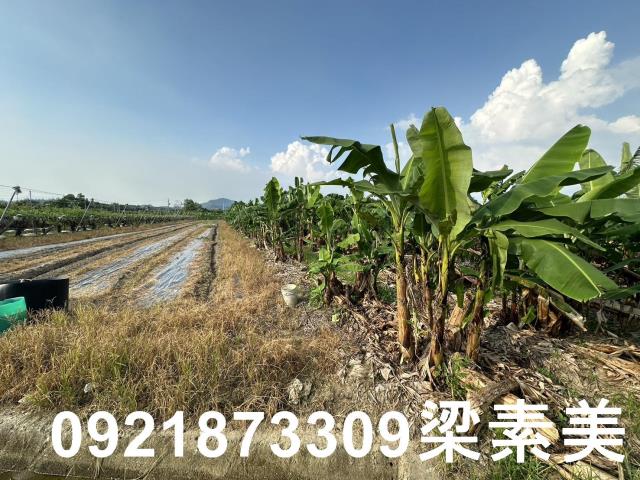 玉井農地-1