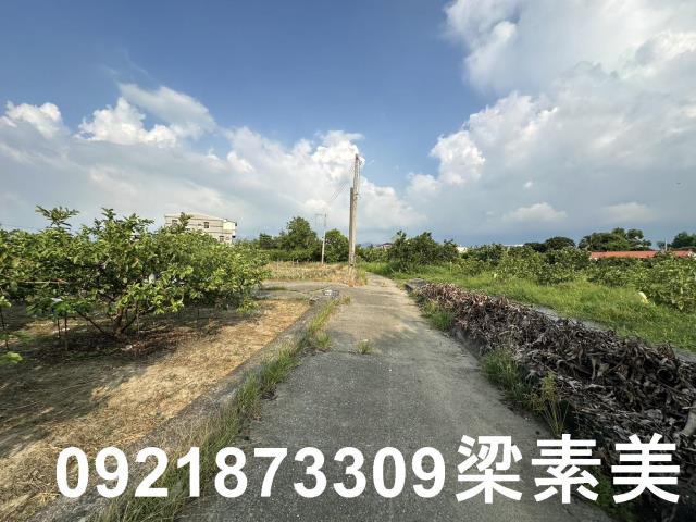 玉井農地-5