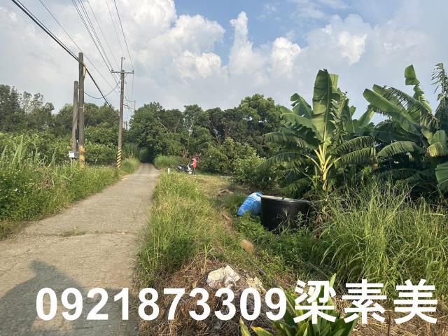 玉井農地-7