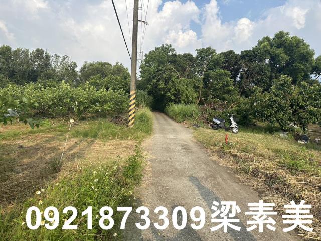 玉井農地-8