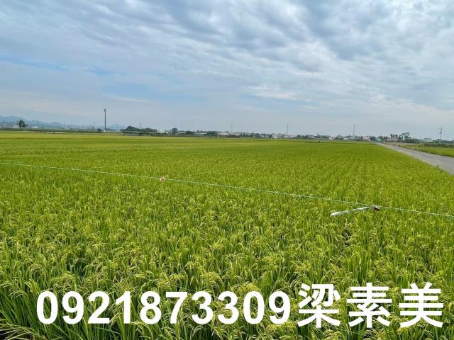 東山農地-2