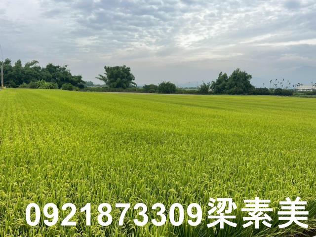 東山農地-3
