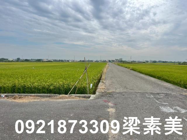 東山農地-7
