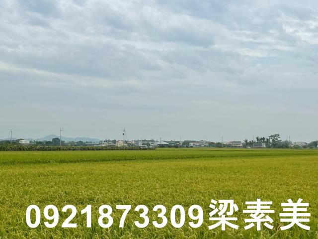 東山農地-1