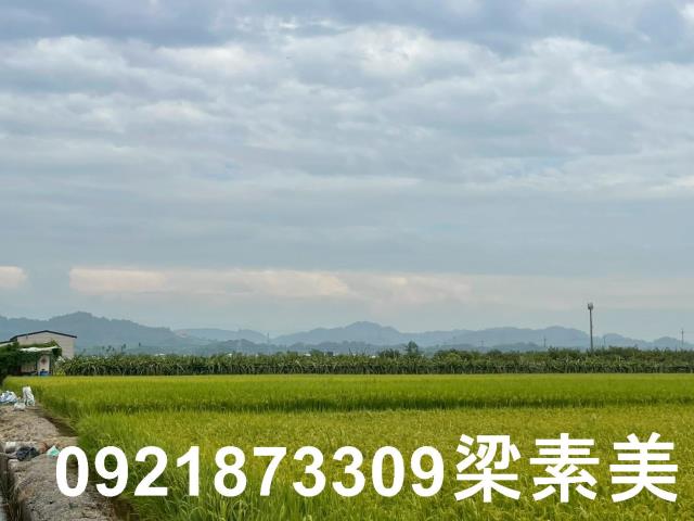 東山農地-2