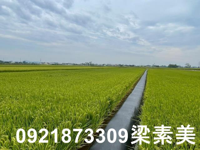 東山農地-3