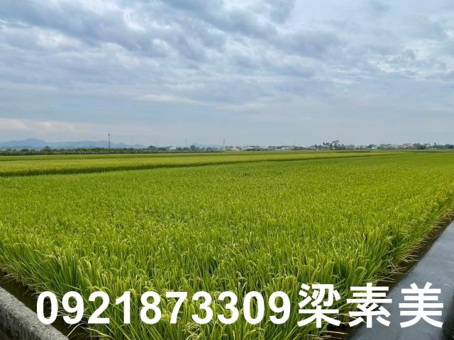 東山農地-4