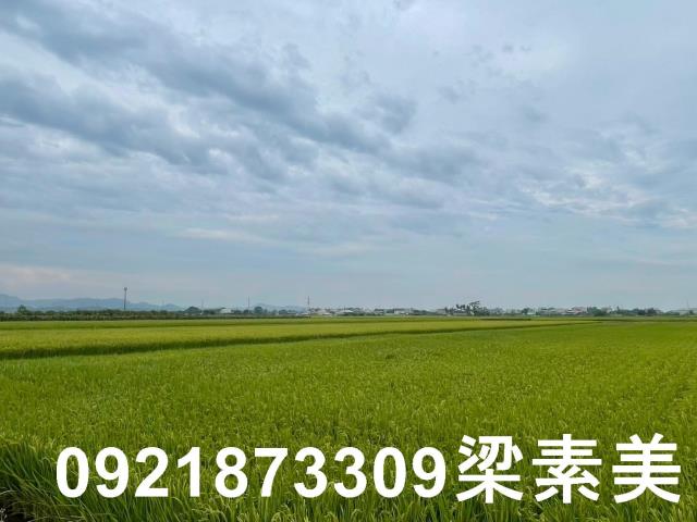 東山農地-5
