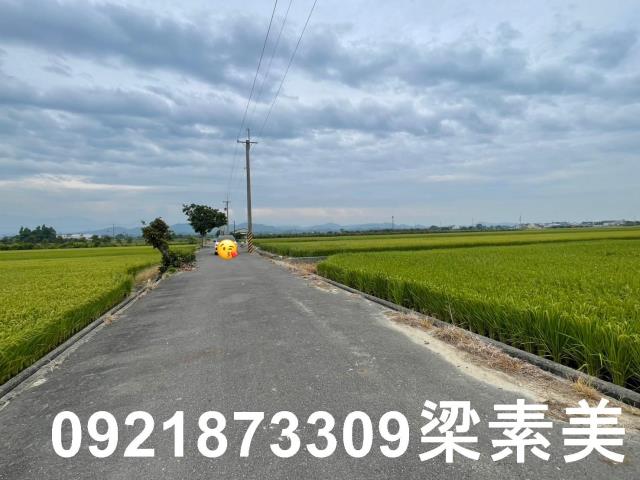 東山農地-6