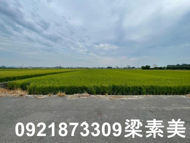 東山農地-7