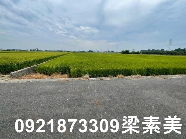 東山農地-8