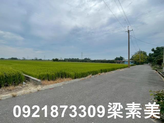 東山農地-9