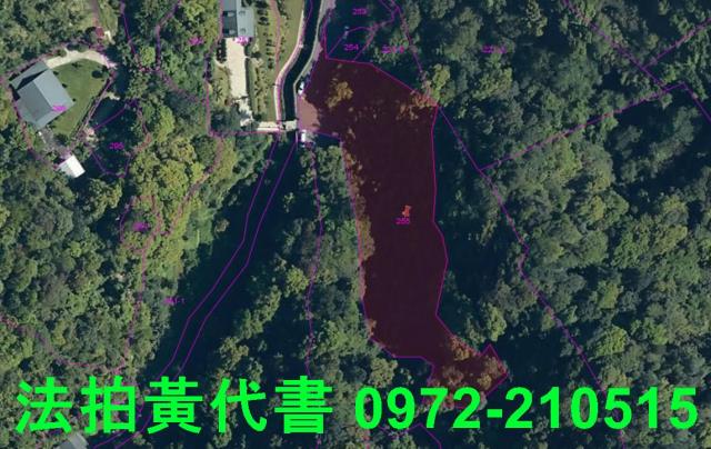 文山區拍賣休閒地-11