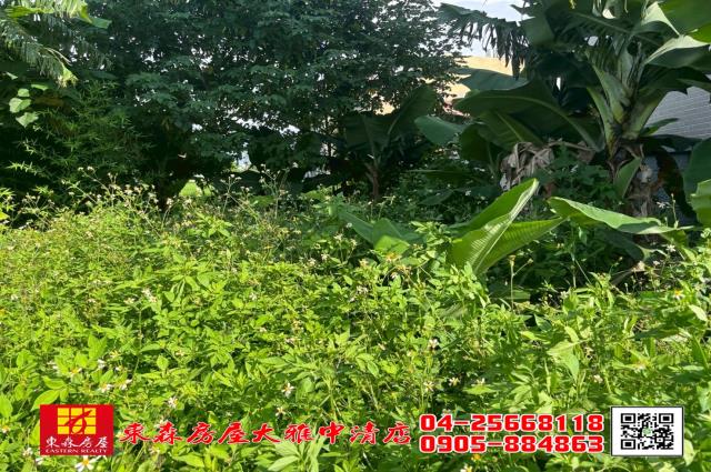 台中農地-2
