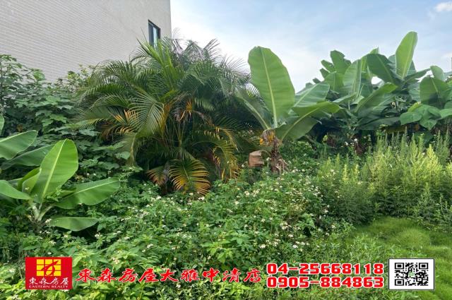 台中農地-3
