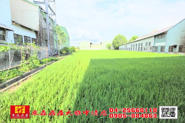 台中農地-6