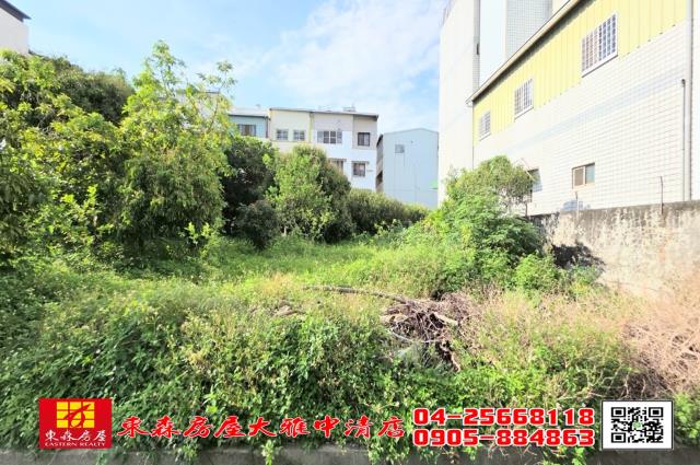 台中農地-9