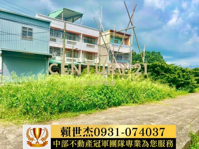 台中農地-10