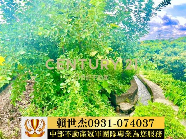 台中農地-4