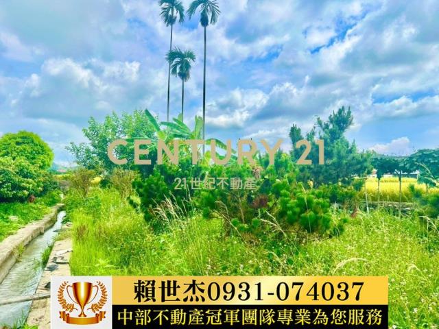 台中農地-5