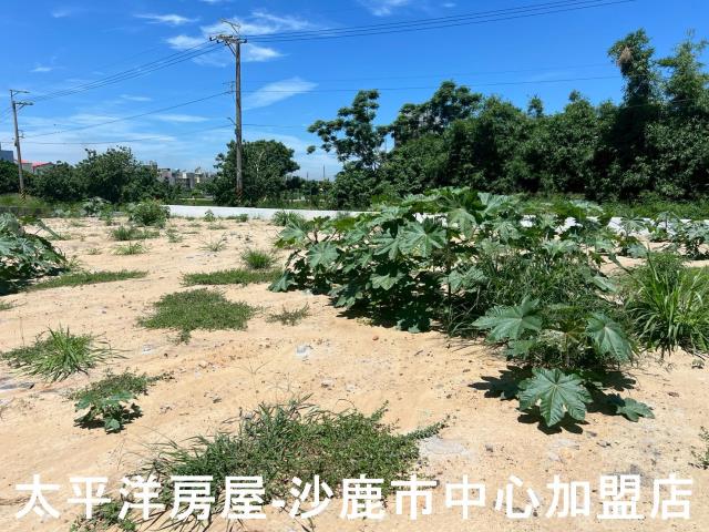 沙鹿建地-4